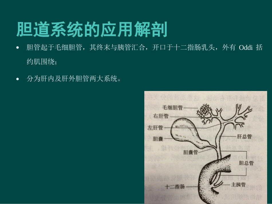 胆道疾病(9)_第2页