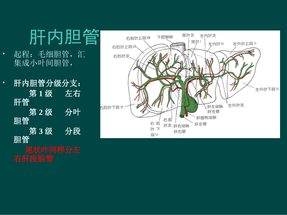 胆道疾病(9)_第4页