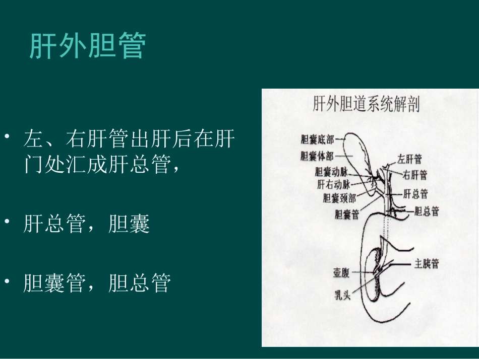 胆道疾病(9)_第5页