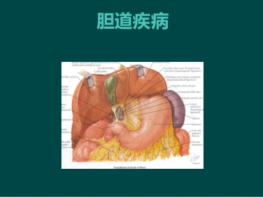 胆道疾病(9)