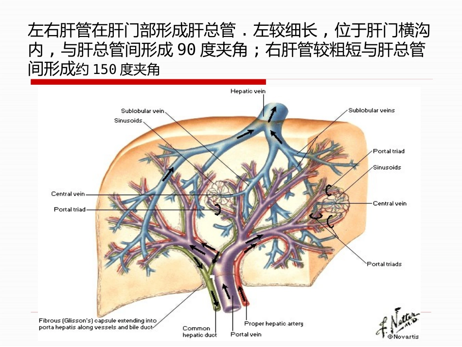 胆道疾病（15）_第10页