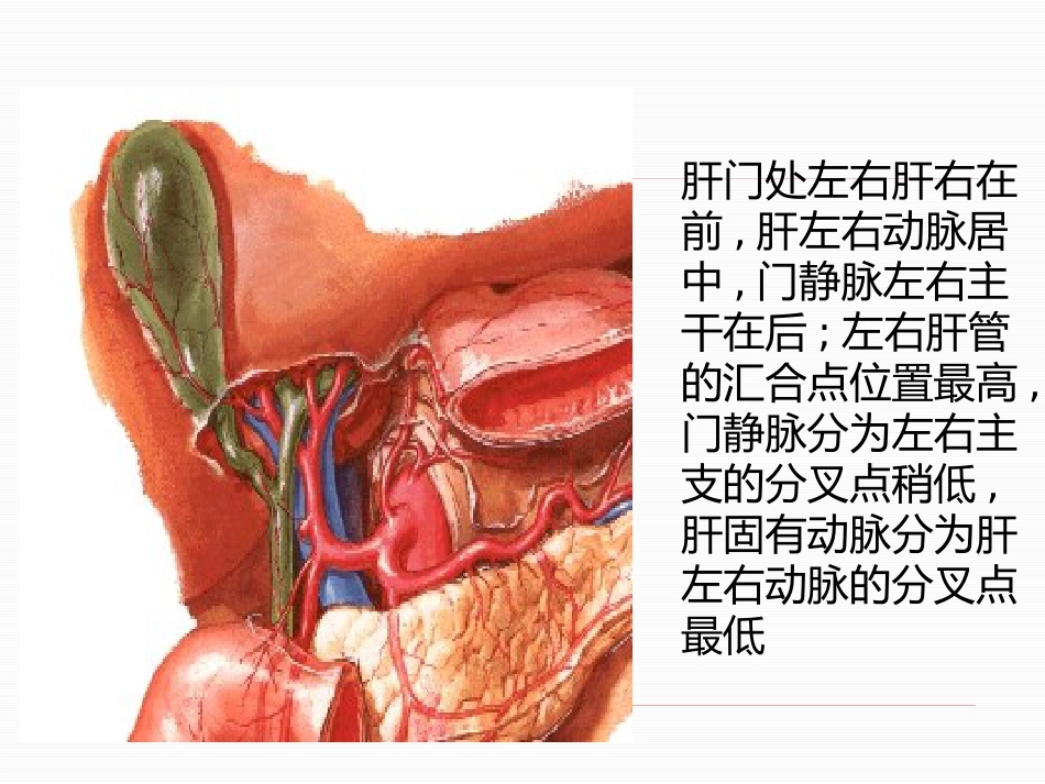 胆道疾病（15）_第11页
