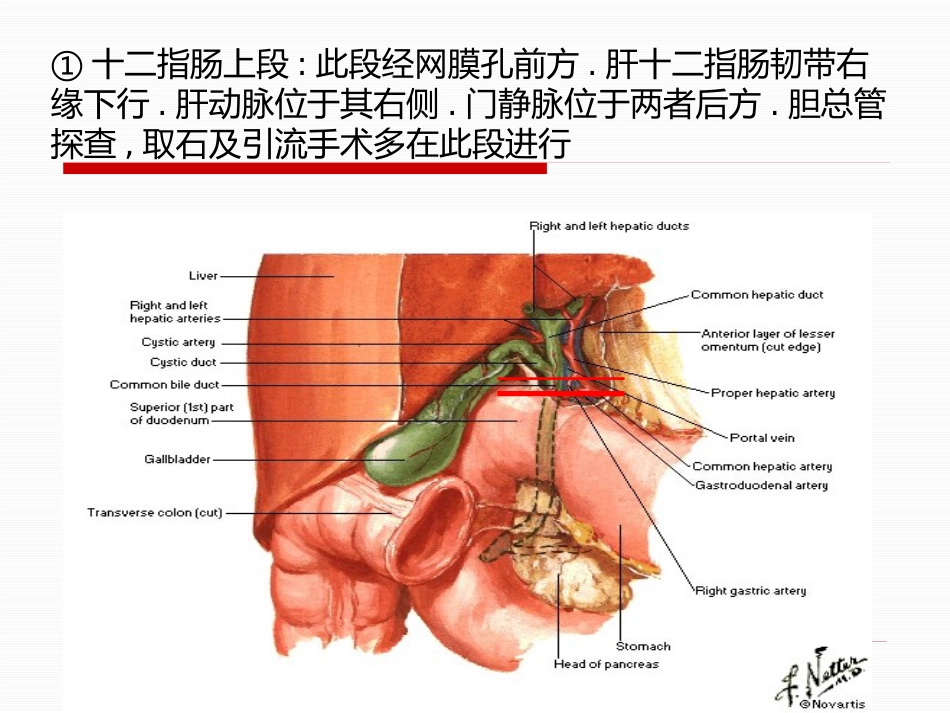 胆道疾病（15）_第14页