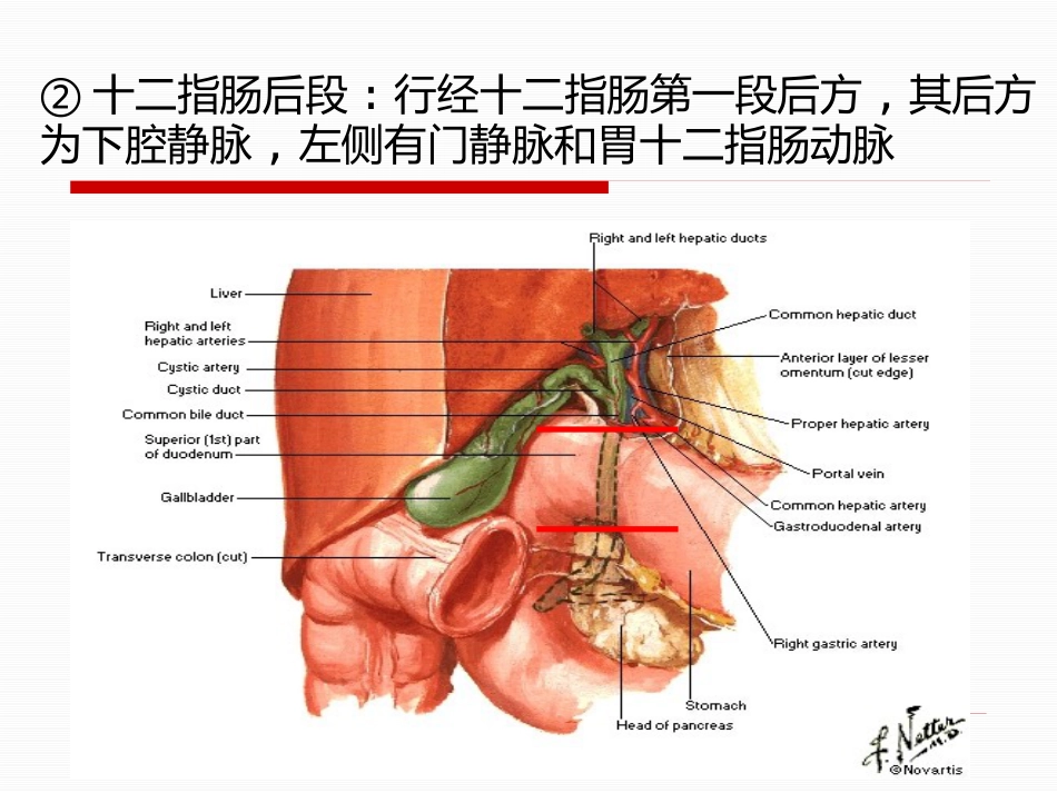 胆道疾病（15）_第15页