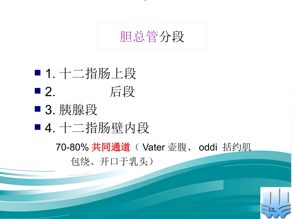 胆道疾病（16)_第10页