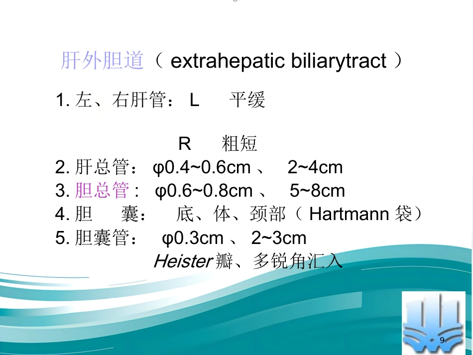 胆道疾病（16)_第9页