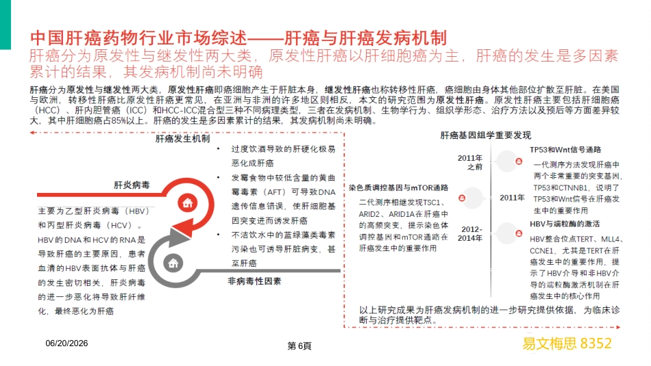 2020年肝癌市场营销分析_第6页