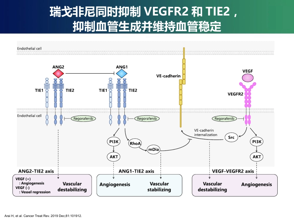 2020ASCO结直肠癌免疫治疗新进展(最新推荐)_第10页