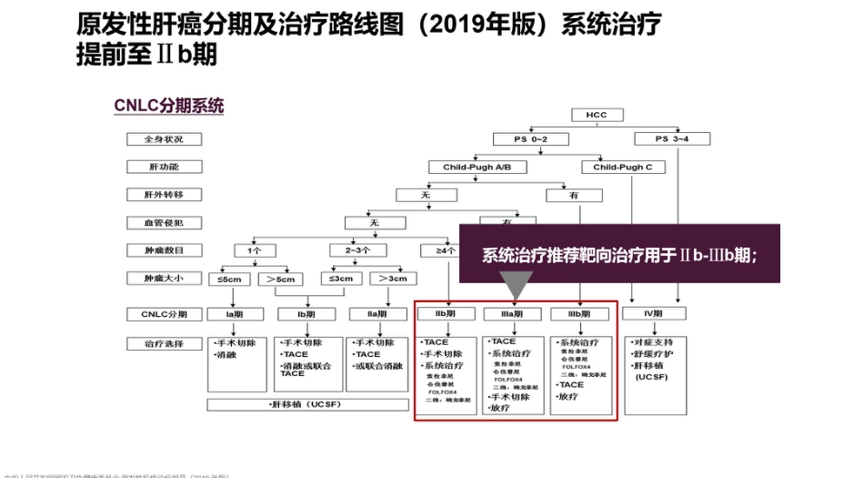 2021肝癌局部治疗联合系统治疗探索_第11页