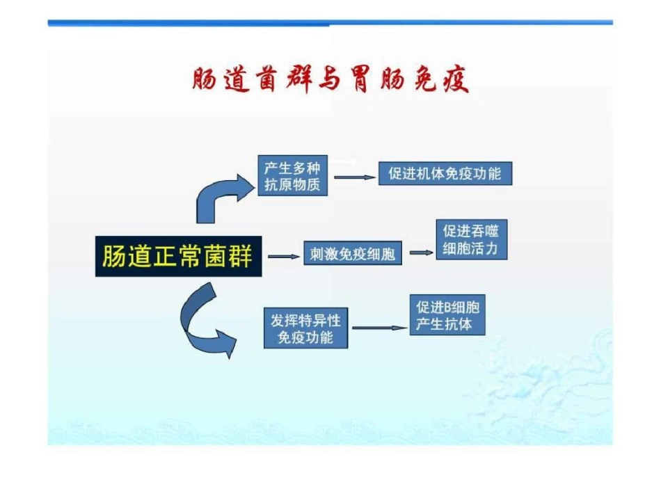 2021年肠道菌群与肠黏膜屏障_第11页
