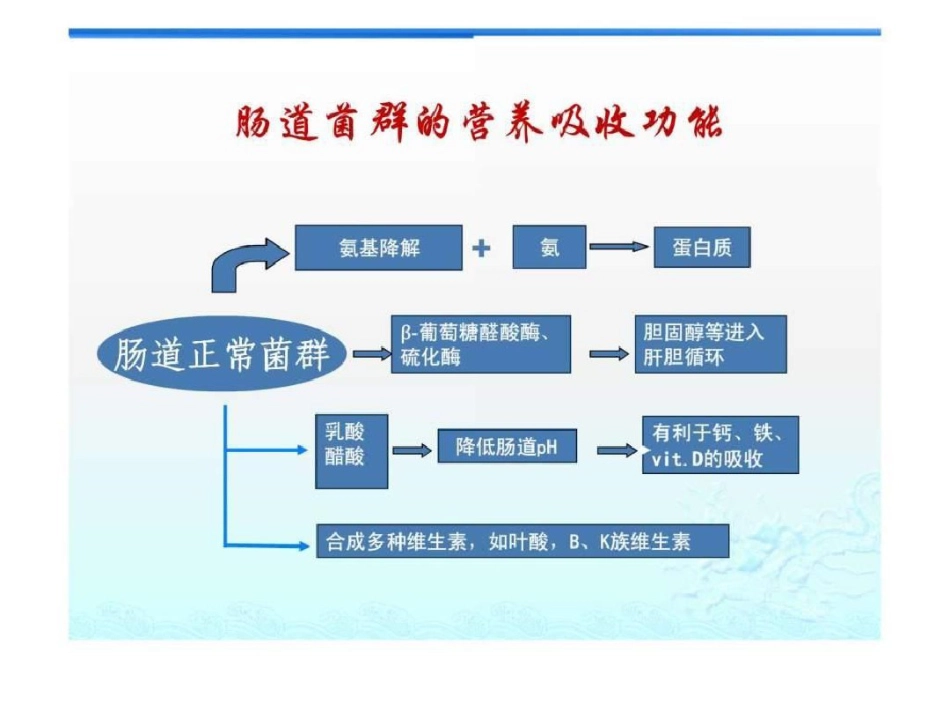 2021年肠道菌群与肠黏膜屏障_第12页