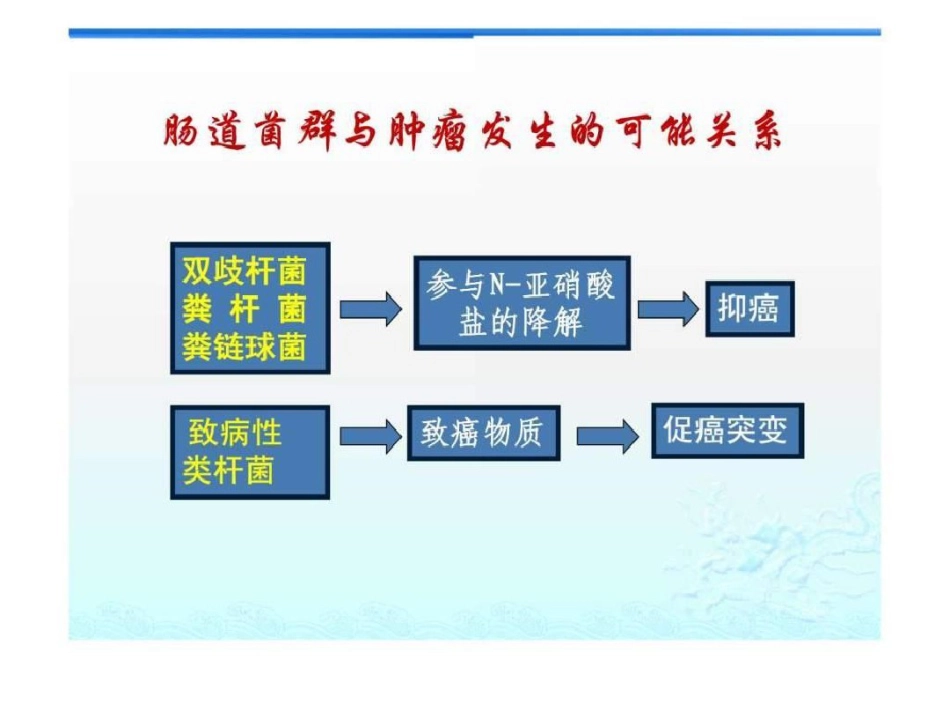 2021年肠道菌群与肠黏膜屏障_第13页