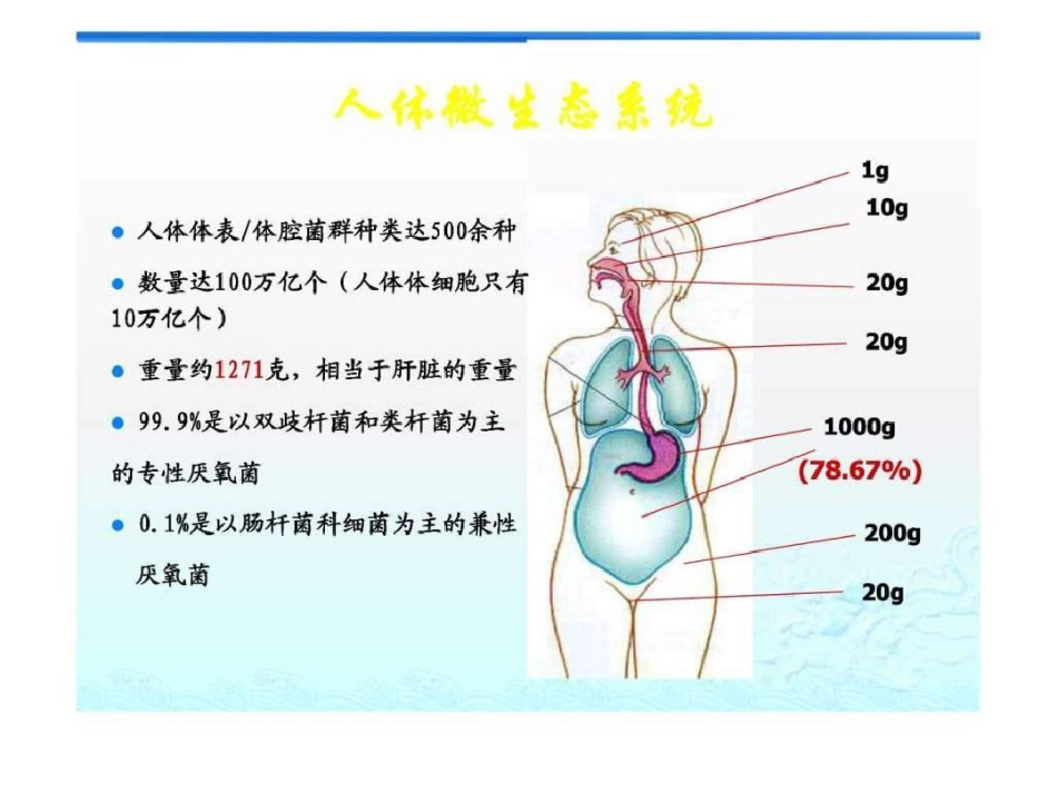 2021年肠道菌群与肠黏膜屏障_第2页