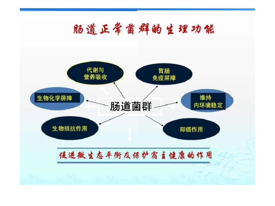 2021年肠道菌群与肠黏膜屏障_第6页