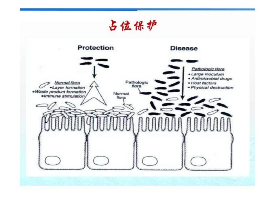 2021年肠道菌群与肠黏膜屏障_第9页