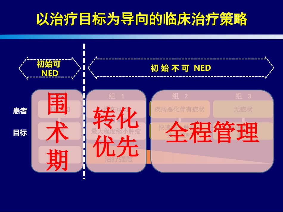 2021转移结直肠癌mCRC规范化治疗的整体策略(最新推荐)_第13页