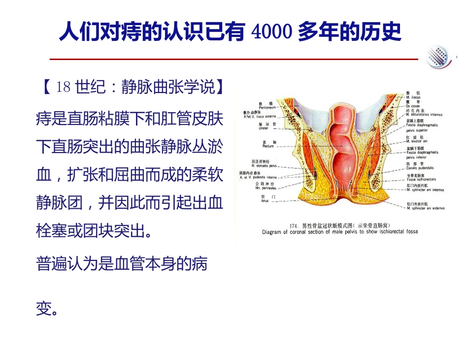 爱脉朗痔疮防治新选择-整合篇_第4页