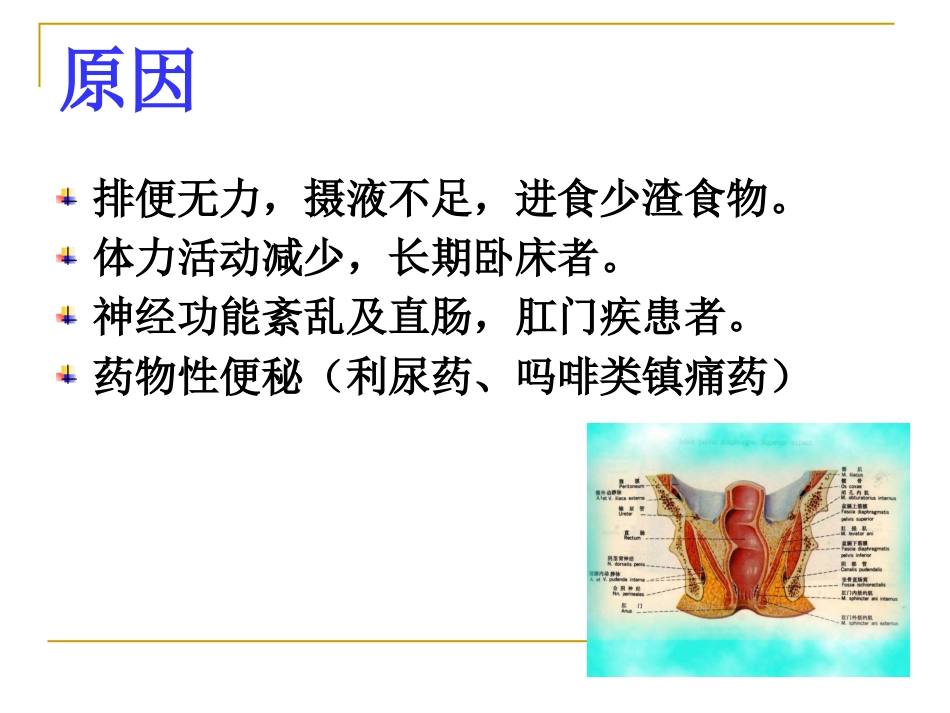 便秘完整手册_第3页