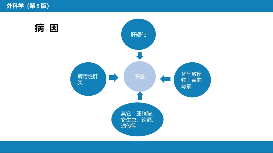肝疾病 第五、六、七节_第7页