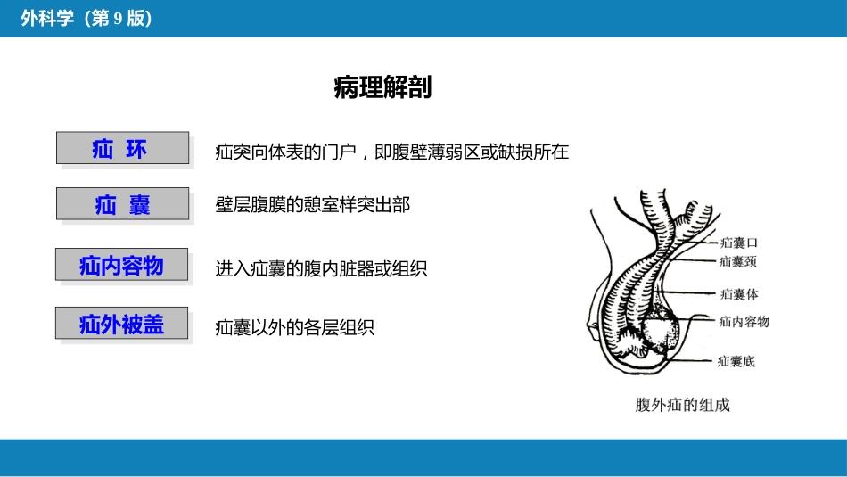 外科学： 腹外疝_第7页