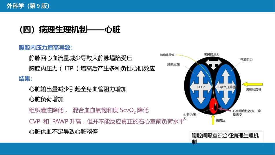 急性化脓性腹膜炎 第三节 腹腔间隔室综合征_第8页