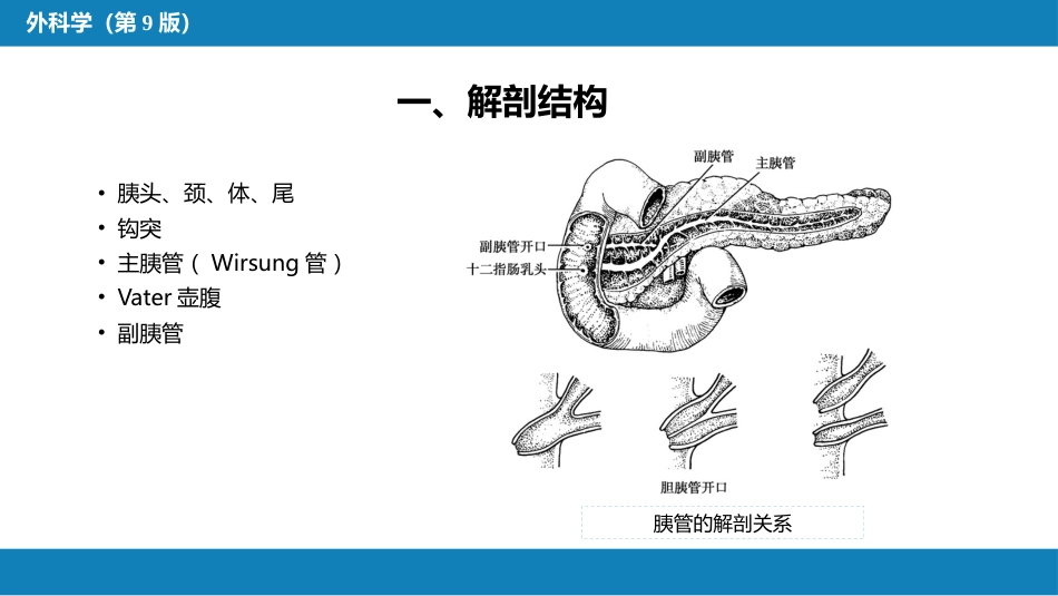 胰腺疾病 第四十一章 第一、二节_第5页