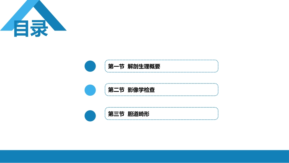 胆道疾病 第一、二、三节_第2页