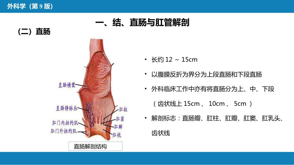 结、直肠与肛管疾病 第一、二、三节_第10页