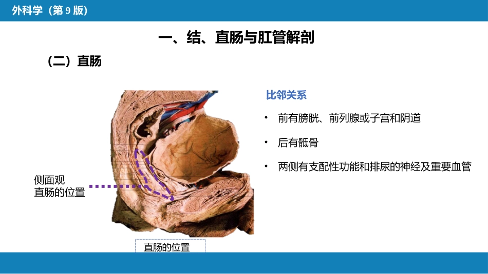 结、直肠与肛管疾病 第一、二、三节_第11页