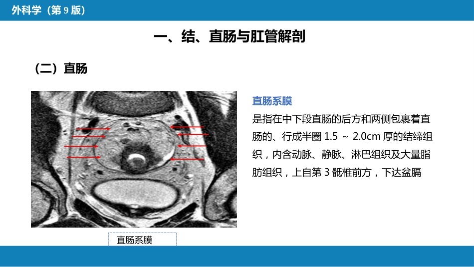 结、直肠与肛管疾病 第一、二、三节_第12页