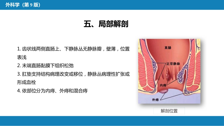 结、直肠与肛管疾病 第十二节 痔_第8页