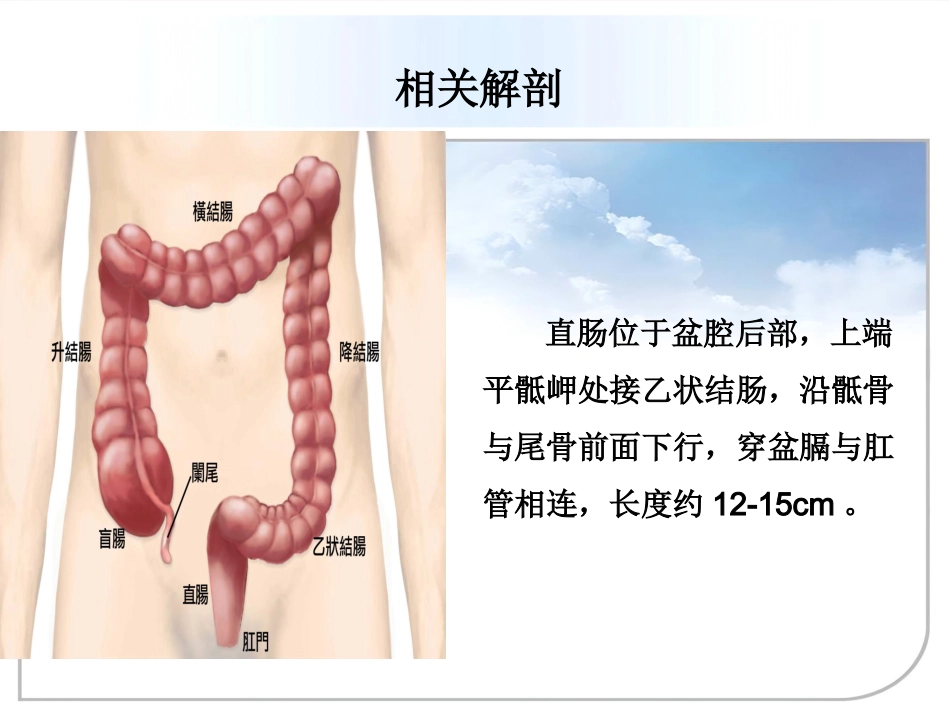 fqm——低位直肠癌术中配合总结_第11页