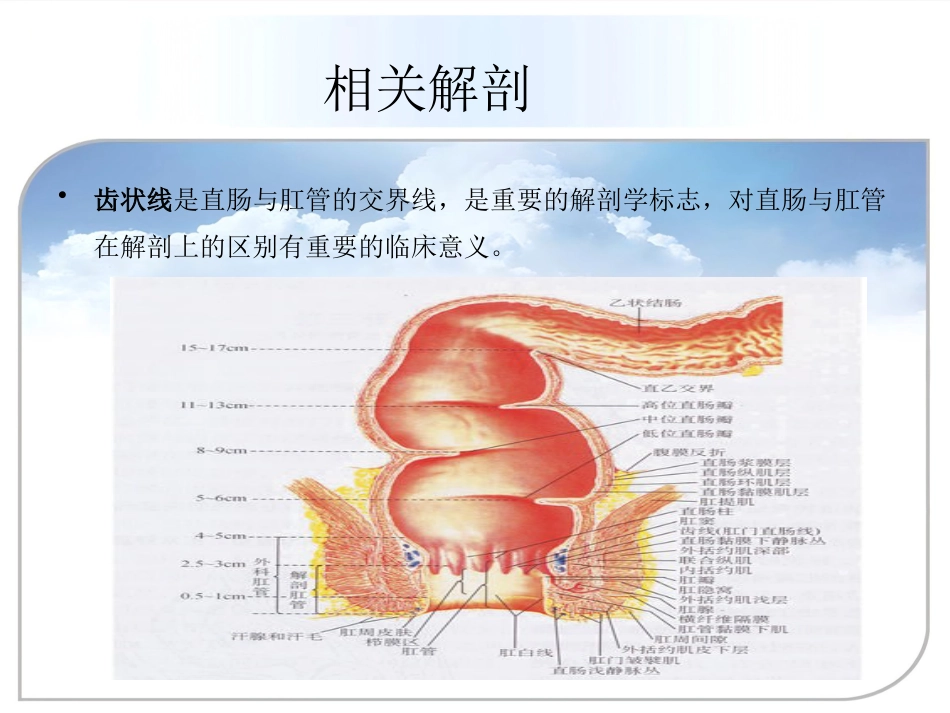 fqm——低位直肠癌术中配合总结_第12页