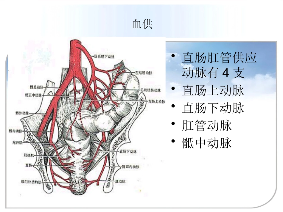 fqm——低位直肠癌术中配合总结_第13页