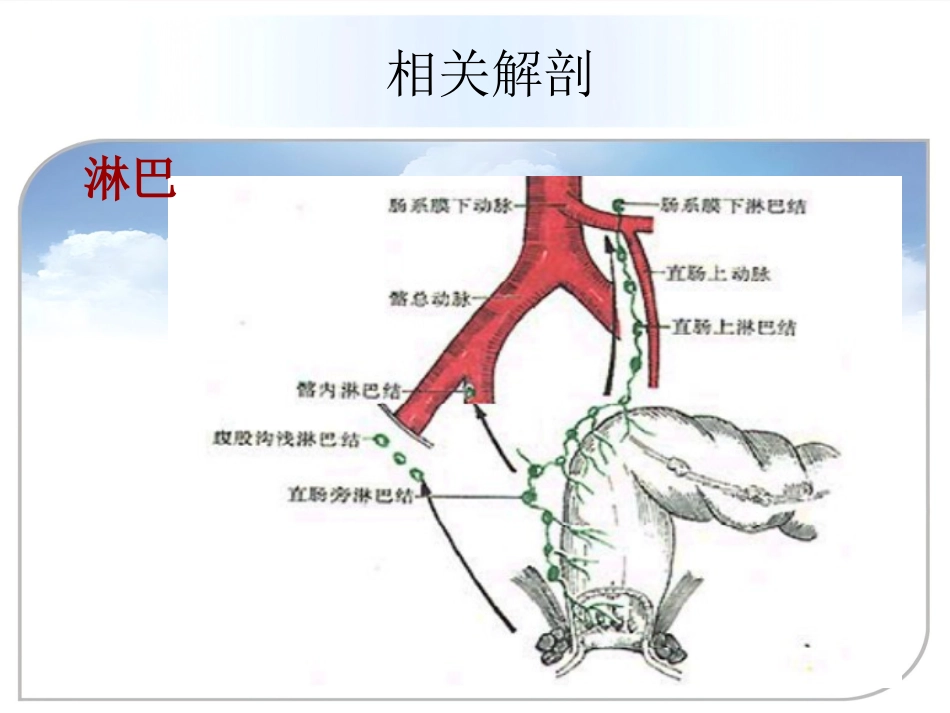 fqm——低位直肠癌术中配合总结_第14页