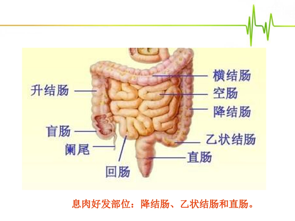 emr治疗肠道息肉_第9页