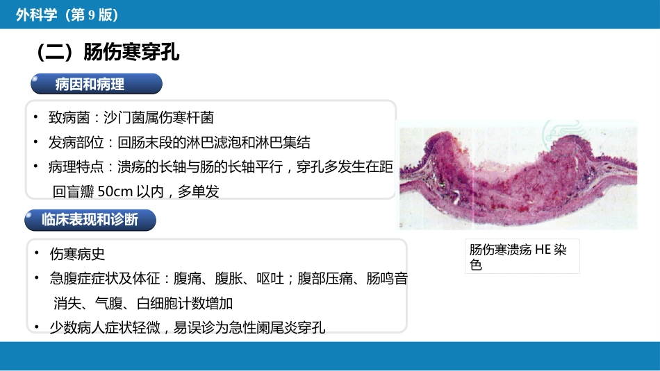 小肠疾病 第一、二、三节_第13页