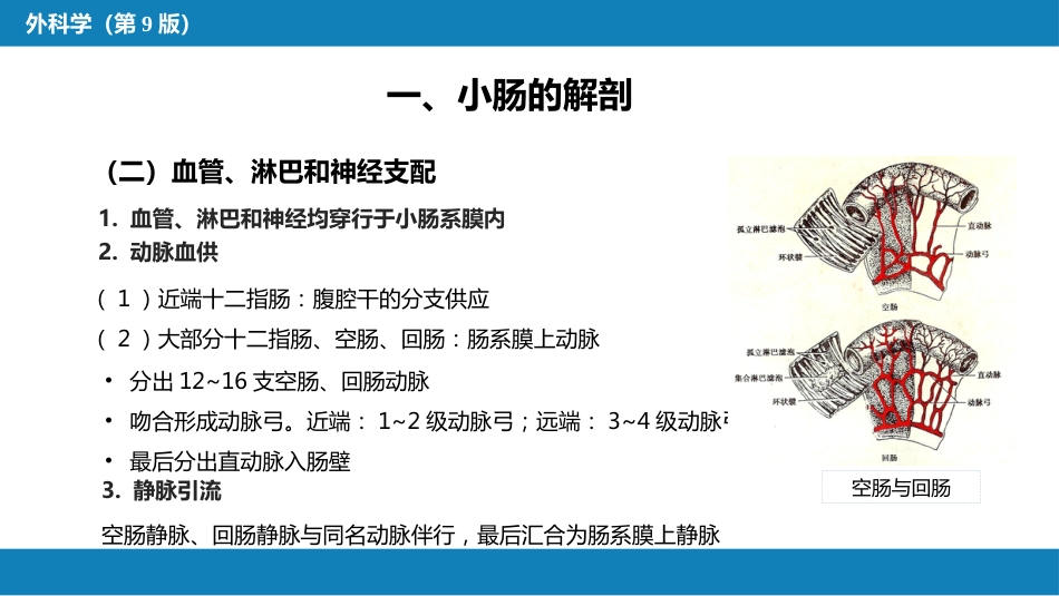 小肠疾病 第一、二、三节_第6页