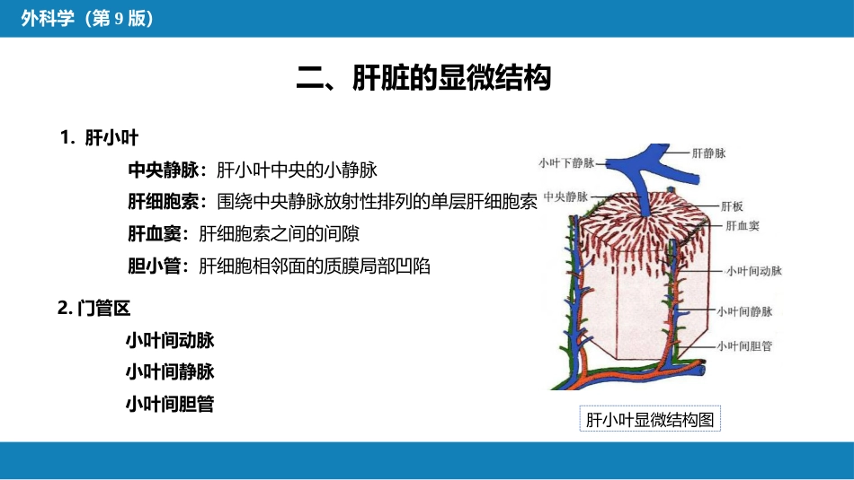 肝疾病 第一、二、三节_第10页