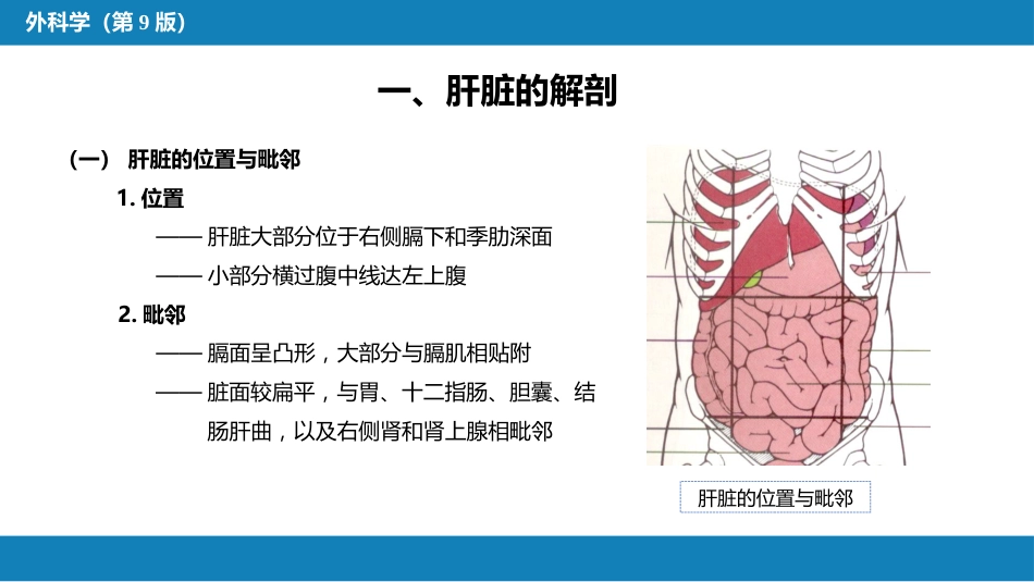 肝疾病 第一、二、三节_第6页
