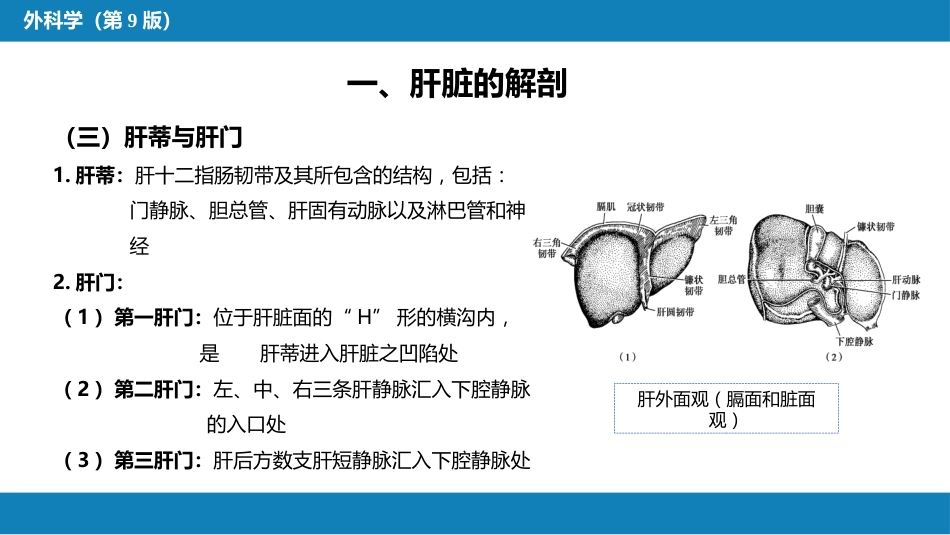 肝疾病 第一、二、三节_第8页