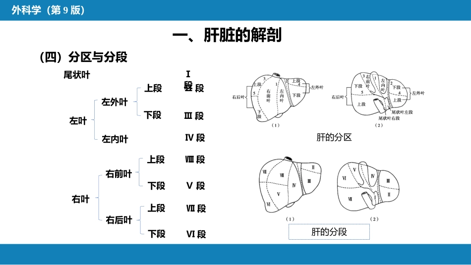 肝疾病 第一、二、三节_第9页