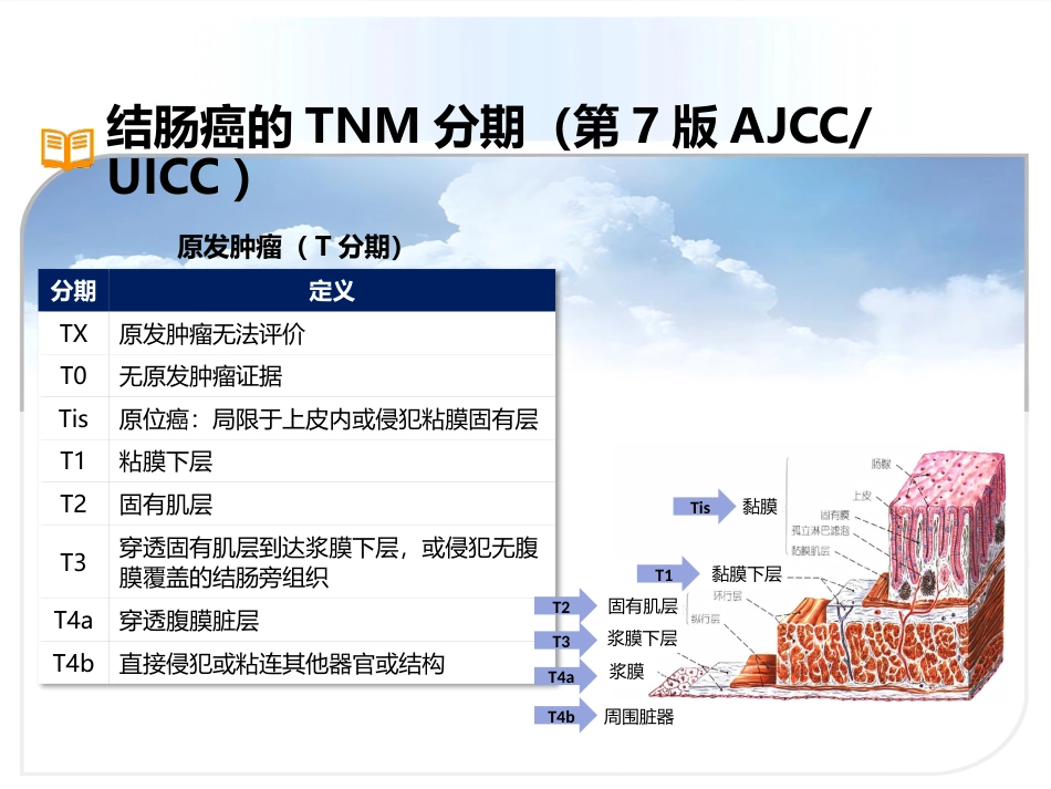 III期结肠癌患者诊断与治疗_第8页