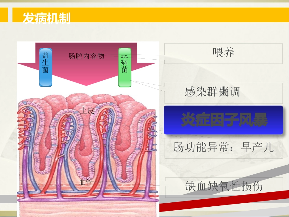 NEC(新生儿坏死性小肠结肠炎)(1)_第11页