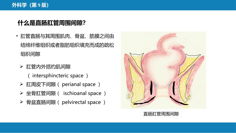 结、直肠与肛管疾病 第九、十、十一节 (1)_第11页