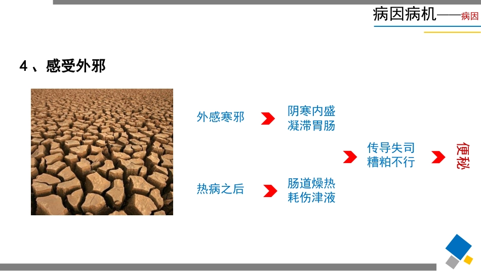 便秘(7)_第13页