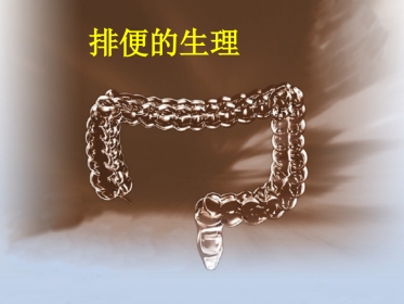 便秘(12)