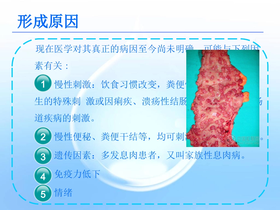 emr治疗肠道息肉36页PPT(1)_第13页