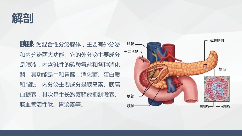 消化科-胰腺癌患者的护理查房_第4页