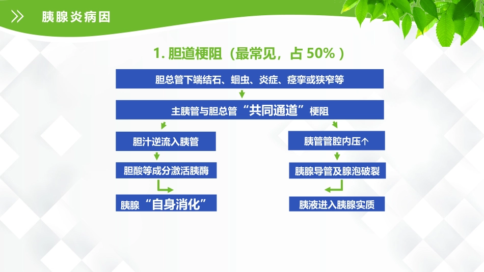 普外科-急性胰腺炎护理查房_第10页